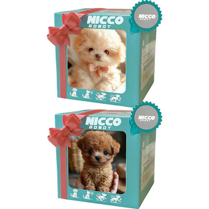 NICOO – My Playful Robot Pup🌈 🐶🐶-